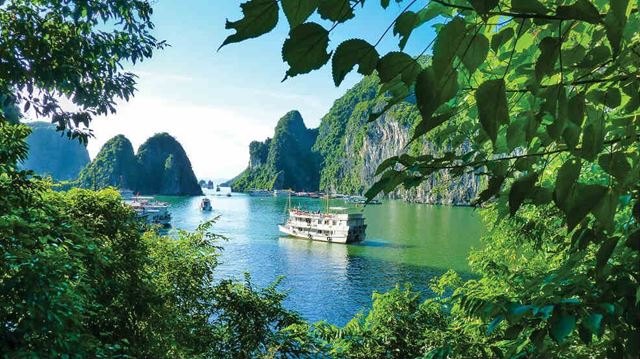 Cruise in Halong Bay Vietnam